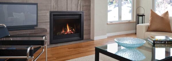 Regency Panorama P36 Gas Fireplace - Image 3