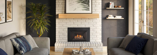 Regency - Atmosphere Gi27LE Gas Insert